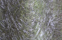 Whitfield Hall fibreglass roof work